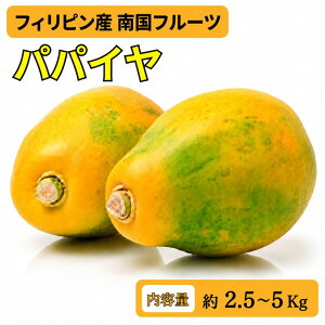 �t�B���s���Y �p�p�C�� ��2.5�`5kg �썑�t���[�c ���n �� �y�f ���e ���N ��������
