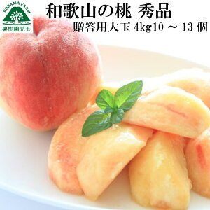 �� ������ �M�t�g ��� �a�̎R �����p ��4kg 10�`13�� �������� �ō��� �G�i ���l ���� ������ �䋟 �ʕ� �����i �i�� �I�̐� �a�̎R�� �ăM�t�g �t���[�c �䒆�� �䒆���M�t�g ���� �������� �o