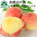 桃 お中元 ギフト 特大玉 和歌山 贈答用 約2.2kg 5〜6玉 送料無料 最高級 プレミアム 秀品 熨斗 もも モモ 特大 お供え 御供 お供え物 果物 贈答品 進物 のし 紀の川市 夏ギフト 和歌山県 フルーツ 御中元 くだもの 御中元ギフト 白桃 白鳳 なつっこ 川中島白桃 39 産地直送