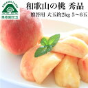 桃 お中元 ギフト 大玉 和歌山 贈答用 約2kg 5〜6玉 送料無料 最高級 秀品 熨斗 もも モモ 早割 お盆 お供 御供 果物 贈答品 進物 御中元 御中元ギフト 中元 夏ギフト 紀の川市 和歌山県 フルーツ くだもの 出産祝 白桃 白鳳 なつっこ 川中島白桃 産地直送