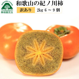 紀の川柿 柿 訳あり 2kg 和歌山 送料無料 6〜9個 大きさ混合 紀ノ川柿 きのかわがき きのかわかき 黒あま 柿 黒あま柿 たねなし柿 種無し柿 種なし柿 種なし フルーツ 果物 かき カキ わけあり 秋の味覚 栄養 効能 タンニン 自家用 お試し 39 産地直送