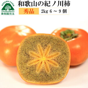 I̐` a̎R Gi  2kg 6`9 Im` ̂킪 ̂킩  ` ˂Ȃ` 햳` Ȃ` Ȃ  JL 󂠂 킯 ƒp Ɨp p  