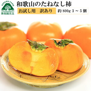 柿 訳ありの通販 価格比較 価格 Com