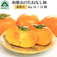 柿 訳あり 種なし柿 訳あり柿 和歌山 送料無料 4kg 16〜24個 たねなし柿 種無し柿 種無しかき 種なし 敬…
