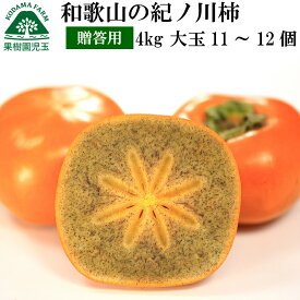 紀の川柿 和歌山 柿 贈答用 ギフト 大玉 4kg 化粧箱入り 送料無料 11〜12個 早割 赤秀 紀ノ川柿 黒あま 黒あま柿 たねなし柿 種無し柿 種なし柿 種なし フルーツ 果物 食品 かき 秋の味覚 栄養 効能 タンニン お祝 内祝 贈答 プレゼント 贈り物 39 産地直送