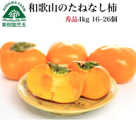 柿 種無し柿 和歌山 秀品 送料無料 4kg 16〜26個 大きさ混合 たねなし柿 早割 種なし柿 種無しかき 種な…