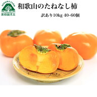 柿 10kg 訳あり 種なし柿 和歌山 送料無料 40-60個前後 5kg 2箱セット たねなし柿 種無し柿 訳あり柿 種…