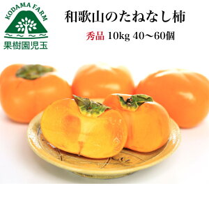 ` 10kg Gi a̎R  40`60O 5kg2Zbg ˂Ȃ` 햳` 햳 Ȃ` a̎RY t[c ʕ Hi O ʔ {  JL 킯 P H̖o h{ 