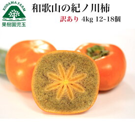紀の川柿 柿 訳あり 4kg 和歌山 送料無料 12〜18個 紀ノ川柿 きのかわがき きのかわかき 黒あま 黒あま柿 たねなし柿 種無し柿 種なし柿 フルーツ 果物 食品 種なし かき カキ わけあり 秋の味覚 栄養 効能 タンニン 家庭用 自家用 平種無し 39 産地直送