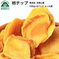 ドライフルーツ 柿 無添加 柿チップ 干し柿 100g×3パック ドライ柿 和歌山 メール便 送料無料 お試し お…