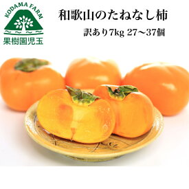 柿 訳あり 種なし柿 訳あり柿 和歌山 送料無料 7kg 27〜37個 たねなし柿 種無し柿 種無しかき 訳アリ柿 種なし 和歌山県産 通販 旬 かき カキ 訳アリ わけあり ワケあり フルーツ 果物 食品 栄養 効能 タンニン 秋の味覚 渋抜き済み 自宅用 大容量 刀根早生 平種無し 39