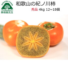 紀の川柿 柿 和歌山 秀品 送料無料 4kg 12〜18個 大きさ混合 紀ノ川柿 赤秀 きのかわかき 黒あま 黒あま柿 たねなし柿 早割 種無し柿 種なし柿 種無しかき フルーツ 果物 食品 かき わけあり 秋の味覚 栄養 効能 タンニン 自宅用 和歌山県産 39 産地直送