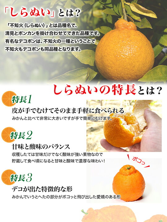 楽天市場】不知火 しらぬい 秀 みかん 5kg 和歌山 送料無料 20 