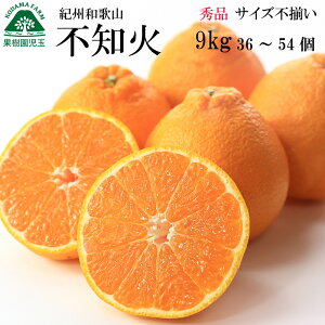 sm ʂ G ݂9kg a̎R  36`54 3L`MTCY fR| łۂ k ʕ t[c O Ȃ mikann lߍ킹 l Ɨp fR݂ ł݂ a̎R