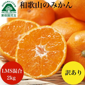 みかん 訳あり 2kg 和歌山 和歌山県 送料無料 LMS混合 訳ありみかん わけありみかん 訳有りみかん 訳ありミカン ミカン 蜜柑 宮川早生 箱買い 訳アリ フルーツ 果物 くだもの わけあり ワケあり 早生 お試し39 産地直送 温州みかん