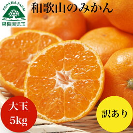 みかん 訳あり 5kg 大玉 和歌山 3L〜2L混合 送料無料 ミカン 蜜柑 箱 箱買い 箱入り 入り 買い 訳アリ フルーツ 温州みかん 訳ありみかん 果物 宮川早生 産地直送 早生みかん わけあり ワケあり 和歌山産 和歌山県産 和歌山のみかん お取り寄せ 39ショップ 楽天スーパーSALE