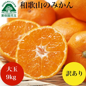 ݂ 󂠂 9kg  a̎R 3L`2L  ݂ ~J       A 킯 9L t[c ʕ ݂ {쑁 Yn P  