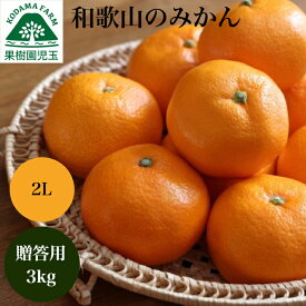 みかん お歳暮 贈答用 ギフト 3kg 2Lサイズ 送料無料 秀品 和歌山 お歳暮ギフト 御歳暮みかん 御歳暮 歳暮 3キロ 温州みかん 早生みかん 宮川早生 冬ギフト 訳なし フルーツ 果物 蜜柑 高級 贈答品 贈答 贈り物 和歌山産 39ショップ 産地直送おすすめ 熨斗 楽天スーパーSALE