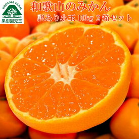 楽天市場 みかん 箱入り 10kgの通販