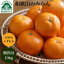 みかん お歳暮 ギフト 贈答用 10kg 送料無料 秀品 和歌山 LMSサイズ ミカン お歳暮ギフト 御歳暮 御歳暮みかん 歳暮 温州みかん 早生みかん 宮川早生 冬ギフト 蜜柑 フルーツ 果物 10キロ 贈答品 高級 贈答 贈り物 和歌山県 39 産地直送 美味しい 甘い 農園