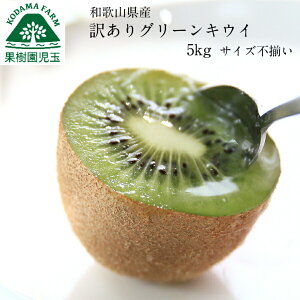 LECt[c LEC Y a̎R 󂠂 5kg 2L`STCY 50`60x  LEC O[LEC ƒp wC[h w엿sgp Ɨp Hi t[c ʕ  