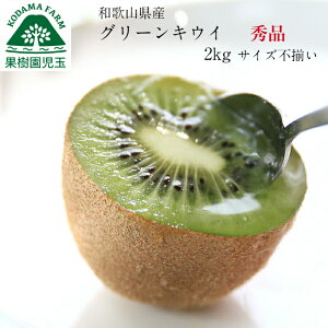 LECt[c Y LEC 2kg Gi 2L`STCY 20`25x O[LEC a̎R ƒp wC[h Ɨp  w엿sgp Hi t[c ʕ  a̎RY a̎R