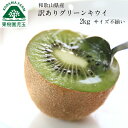 キウイフルーツ キウイ 訳あり 国産 和歌山 2kg 2L〜Sサイズ混合 20〜25個程度 送料無料 キュウイ グリーンキウイ 家…