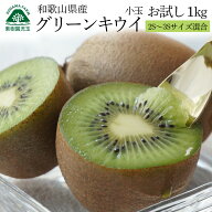 キウイ 訳あり 小玉 1kg 2S〜3S混合 15個前後 送料無料 グリーンキウイ キウイフルーツ 和歌山 ヘイワー…