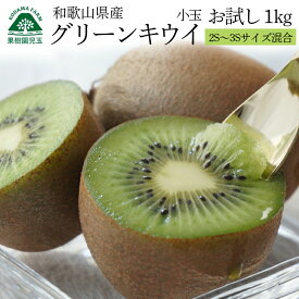 キウイ 訳あり 小玉 1kg 2S〜3S混合 15個前後 送料無料 グリーンキウイ キウイフルーツ 和歌山 ヘイワード 家庭用 食品 フルーツ 果物 くだもの 自家用 化学肥料不使用 箱買い 国産 和歌山県産 和歌山産 39ショップ 産地直送 便秘解消