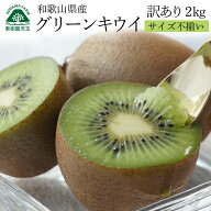 キウイフルーツ キウイ 訳あり 国産 和歌山 2kg 2L〜Sサイズ混合 20〜25個程度 送料無料 キュウイ グリー…