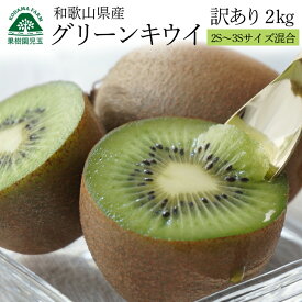 キウイフルーツ キウイ 訳あり 小玉 和歌山 2kg 2S〜3S混合 28個前後 送料無料 キュウイ グリーンキウイ ヘイワード 家庭用 食品 フルーツ 果物 くだもの 化学肥料不使用 自家用 箱買い 国産 和歌山県産 和歌山産 39ショップ 産地直送 便秘解消 農園