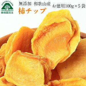 干し柿 訳ありの人気商品 通販 価格比較 価格 Com