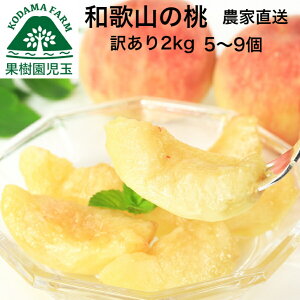 �y�①�ցz�� �󂠂� �a�̎R ��2kg 5�`9�� �������� ���� ���� �I�̐� �t���[�c ��A�� �킯���� �ʕ� �������� �l�C ������ �����߂� ������ ���� ���씒�P �I�̗����P ���P �Ȃ��� �쒆