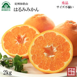 はるみ 和歌山 送料無料 秀品2kg 10〜14個 ２Ｌ〜Ｓサイズ混合【はるみみかん/みかん/果物/フルーツ/ワケあり/訳あり/わけあり/訳なし/家庭用/自家用/和歌山県産/和歌山産/ご当地/お取り寄せ/楽天スーパーSALE】