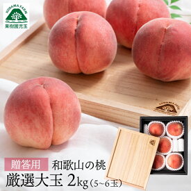 桃 お中元 ギフト プレミアム 特大玉 桐蓋 和歌山 贈答用 2kg 5〜6玉 送料無料 最高級 秀品 熨斗 もも 桐箱 モモ お供え 御供 果物 進物 紀の川 夏ギフト 和歌山県 フルーツ 贈答品 御中元 くだもの 出産祝 白桃 白鳳 なつっこ 川中島白桃 39 産地直送 楽天スーパーSALE