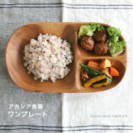 【ポイント5倍！！】【営業日当日発送】ワンプレート 食器 ワンプレート皿 アカシア食器ワンプレート食器…