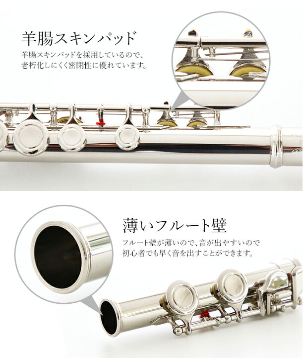 楽天市場】【営業日当日発送】フルートセット（入門者向け）初心者 用 
