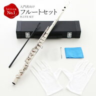 フルートセット（入門者向け）初心者 用 学生 白銅製 練習 用 入門セット16穴 Cキー プレゼント クリスマ…