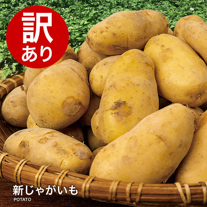 楽天市場】【営業日当日発送】訳あり 新じゃがいもジャガイモ 送料無料 
