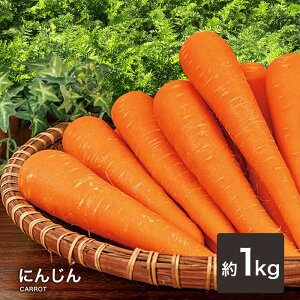 にんじん 1kgの人気商品 通販 価格比較 価格 Com