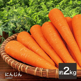 【営業日当日発送】 にんじん 人参 国産 送料無料 ニンジン 人参ジュース にんじんジュース おためし