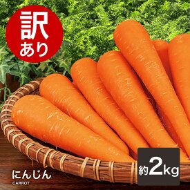 【営業日当日発送】訳あり にんじん 人参 国産 送料無料 ニンジン 人参ジュース にんじんジュース人参 野菜 わけあり おトク