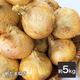 【ポイント最大10倍】【あす楽対応】新たまねぎ ご家庭用 大量 野菜 国産 新玉ねぎ