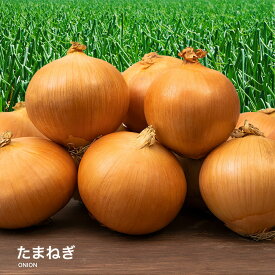 【ポイント最大10倍】【あす楽対応】たまねぎ 国産 L〜2L 玉葱 ご家庭用 大量 野菜 玉ねぎ