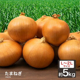 【あす楽対応】たまねぎ 国産 L〜2L 玉葱 ご家庭用 大量 野菜 玉ねぎ