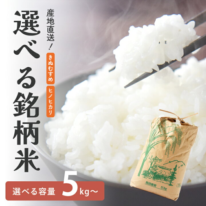 楽天市場】米 令和7年産 精米 5kg 5kg×2 10kg お米 兵庫県産 きぬ 