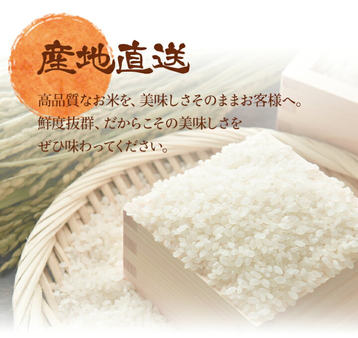 楽天市場】米 令和7年産 精米 5kg 5kg×2 10kg お米 兵庫県産 きぬ 