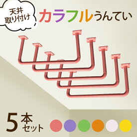 うんてい（取り付け式）同色5本セット （カラー：ピンク、パープル、ライトグリーン、ホワイト、オレンジ、イエロー）運動 子供 キッズ 室内 部屋 体幹 カラフルうんてい
