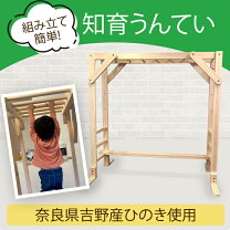 楽天市場】うんてい 室内の通販