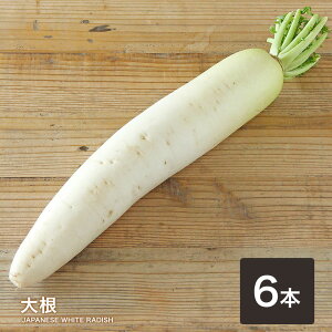 卪   卪낵 T_ ł ϕ ؏` ؊卪 Ԃ卪  \